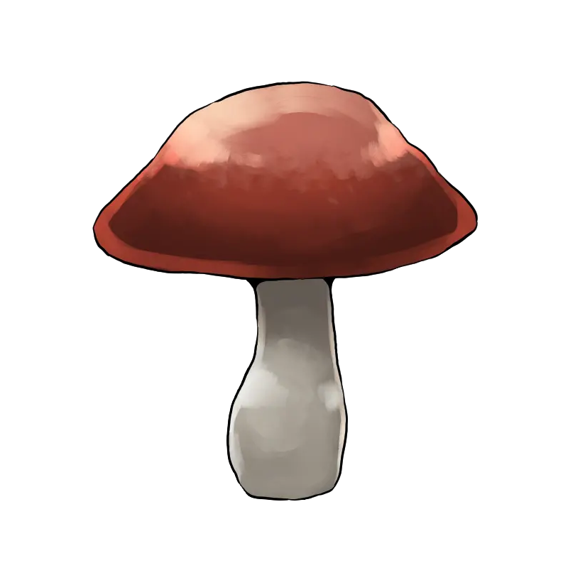 キノコ